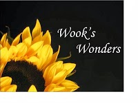 Wooks Wonders 1090349 Image 0